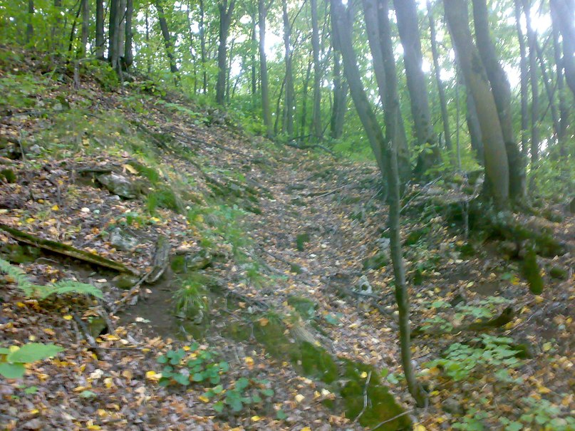 Илья Лутовинов | Чехов-2