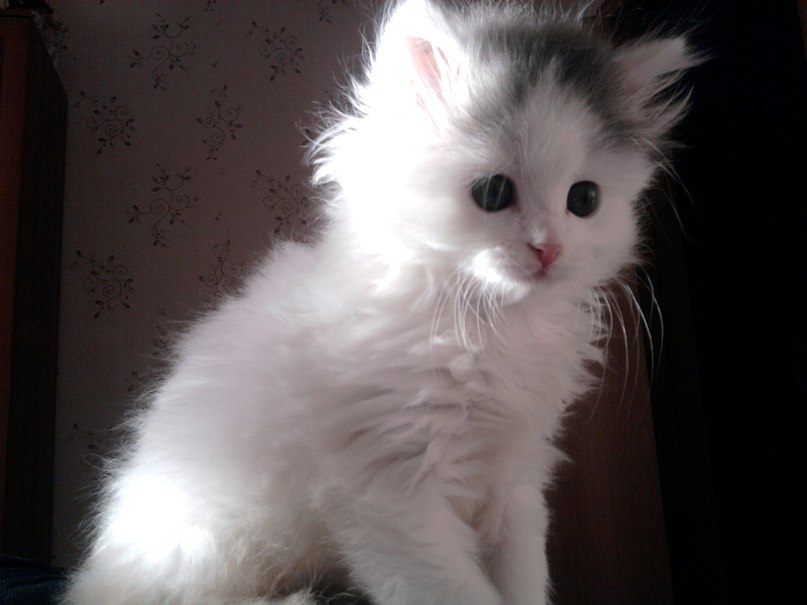 Любовь Долгова | Зауральский