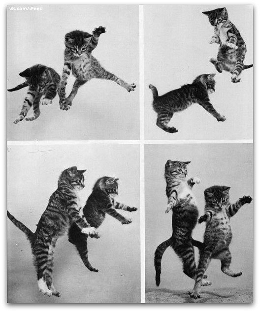 Софья Дьяволёнок пофиг | Екатеринбург