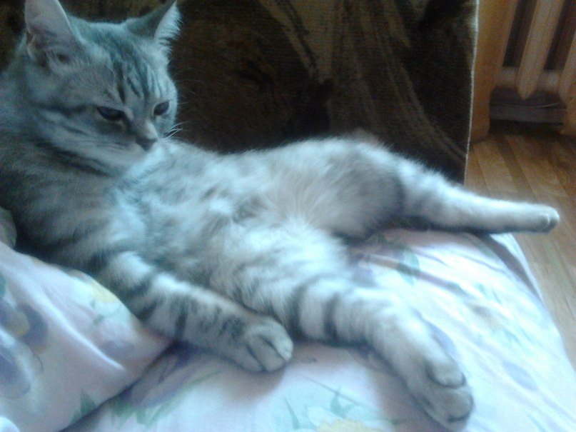 Любочка Кузнецова =(*.*)= | Москва