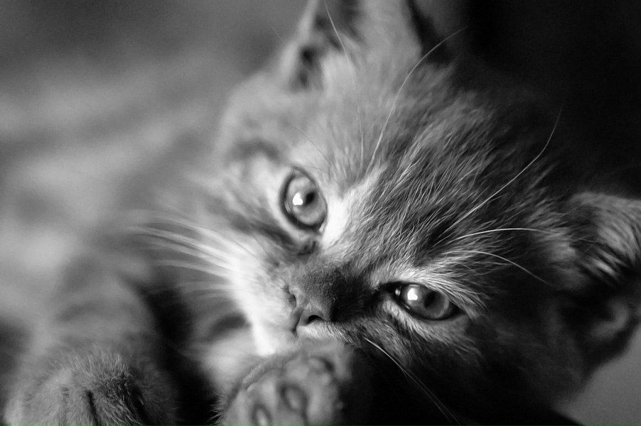 Kristina Fogel | Красноярск