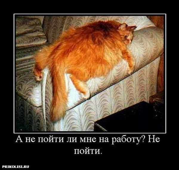 Айгуль Нестеренко | Москва