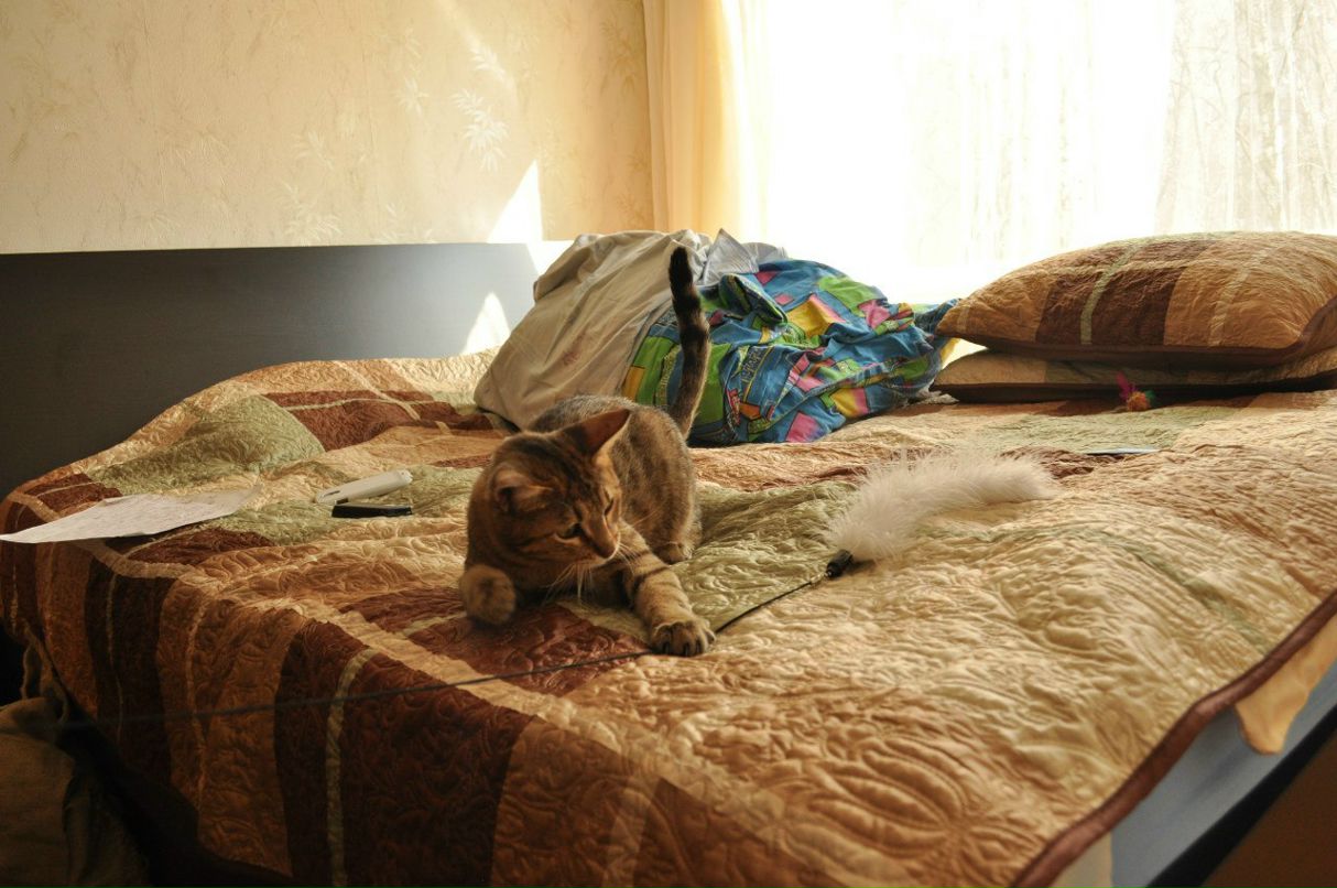 Константин Рагулин | Москва