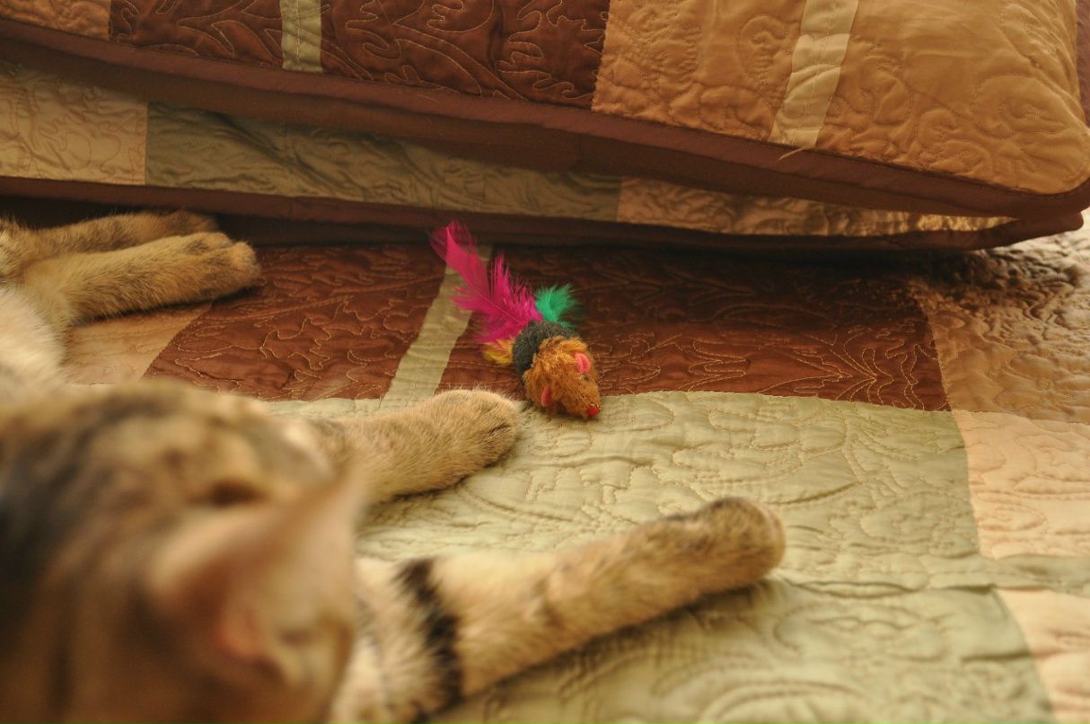 Константин Рагулин | Москва