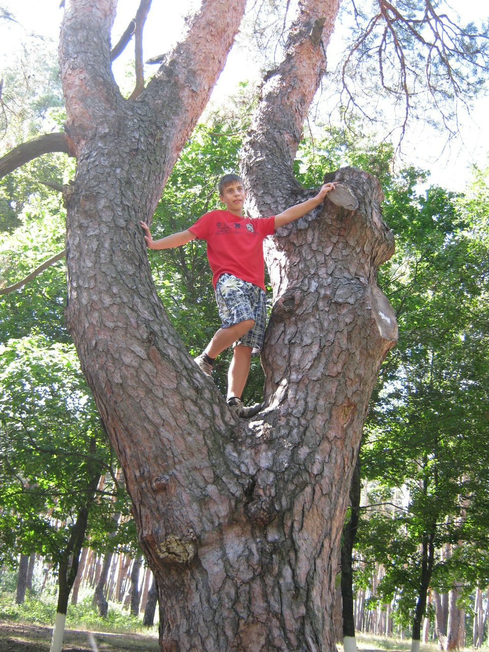 Дмитрий Макуха | Харьков