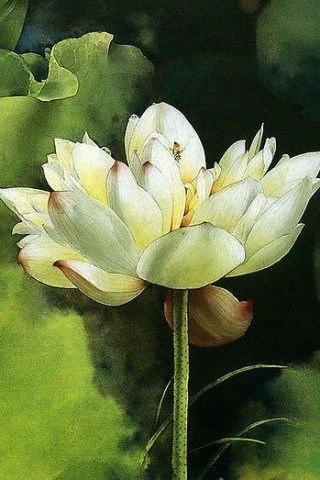 Дмитрий Куликов | Москва