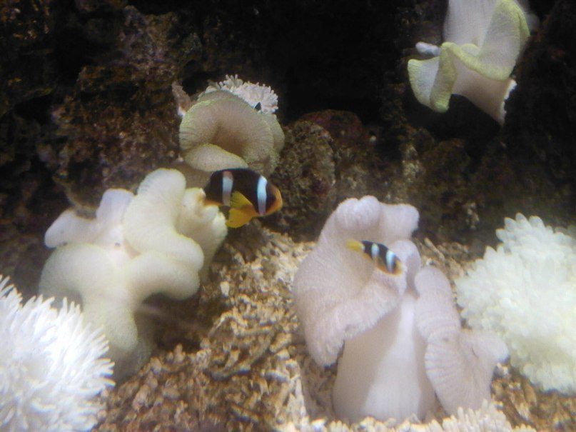 Евгений Багрянов | Вологда