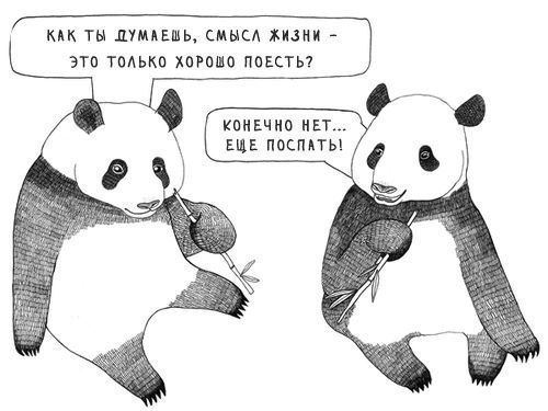 Вероника Тимакова | Краснодар