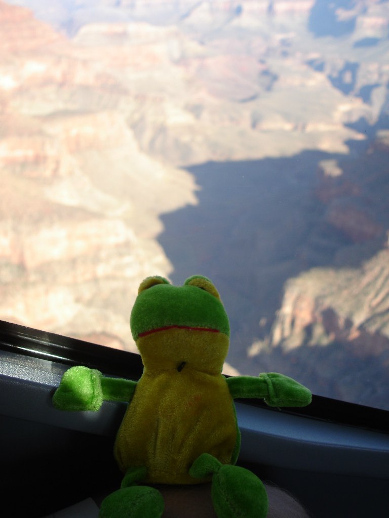 Лягуха Зырящая | Санкт-Петербург