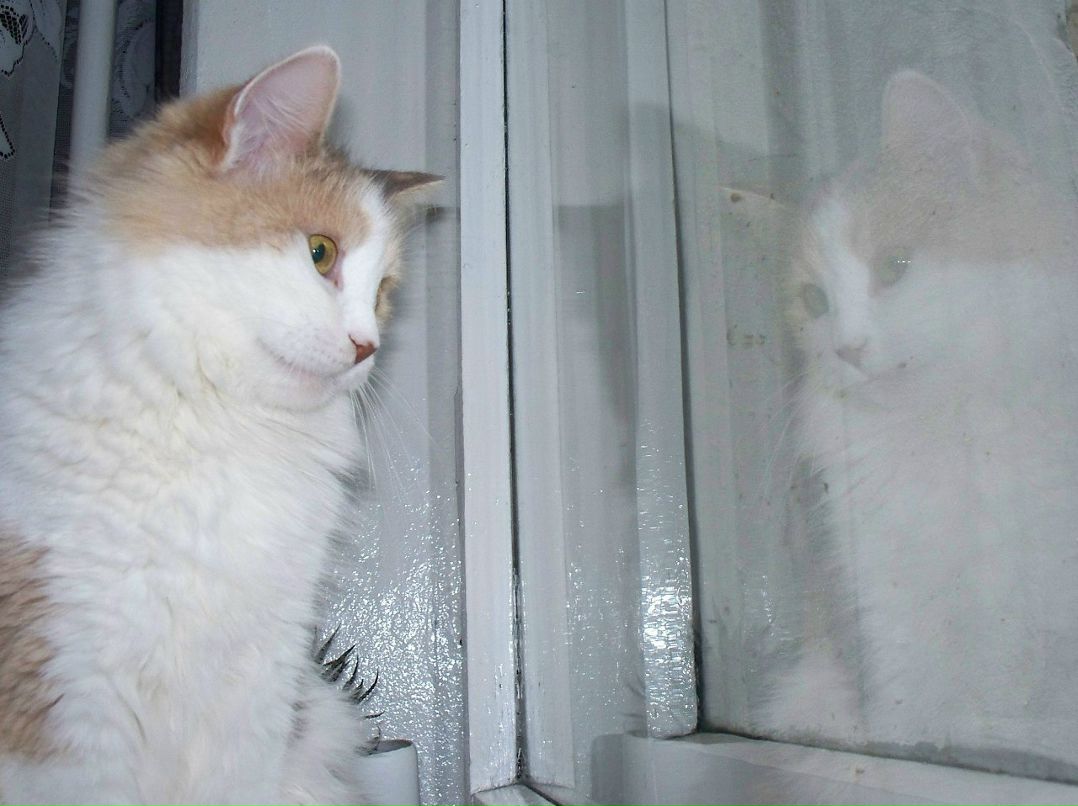 Татьяна Плавдис | Минск