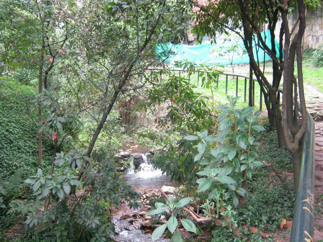 Алексей Шапин | Luleå