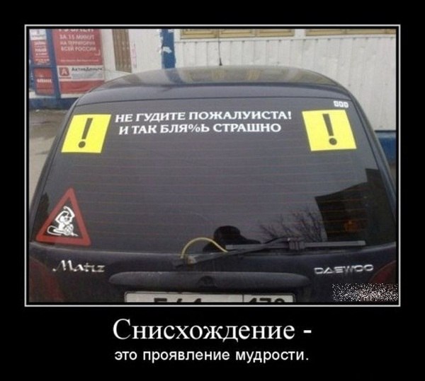 Сегрей Element | Минск