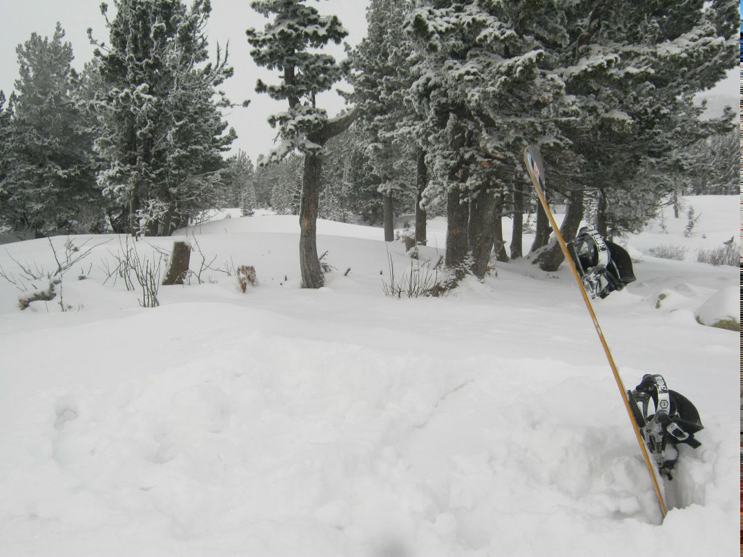 Илья Богатов | Екатеринбург