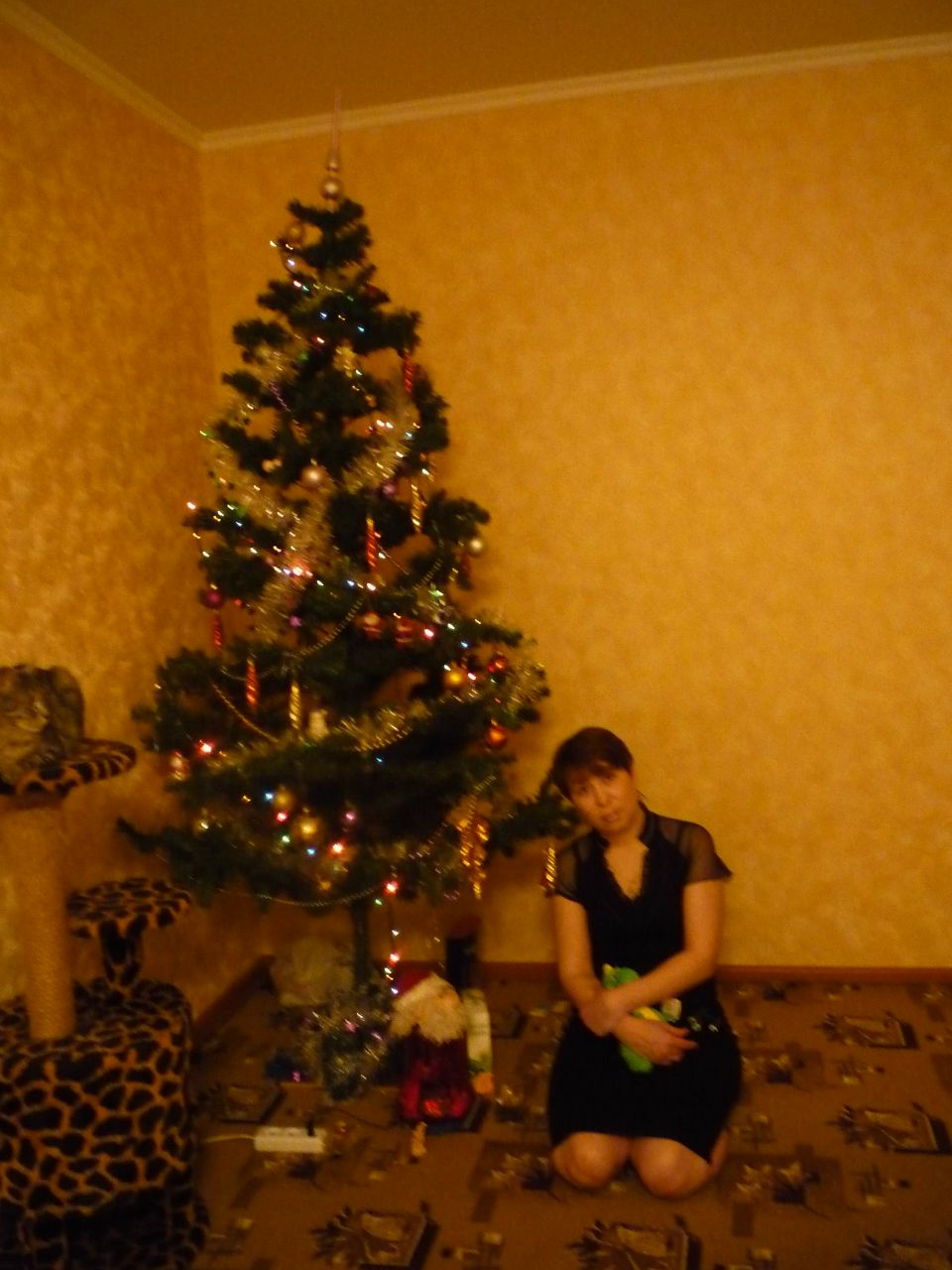 Светлана Степанова | Дмитров