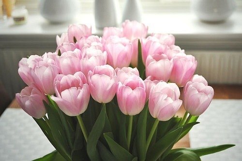 Swetlana Krivyh | Новосибирск