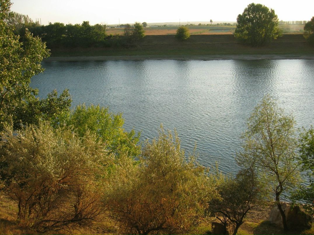 Игорь Голощенко | Тирасполь