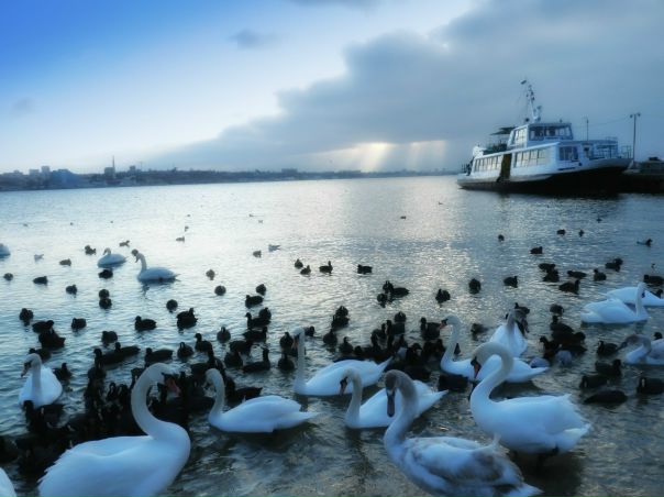 №124, Алина Макарская, 35 лет, Севастополь №124, Алина Макарская, 35 лет, Севастополь