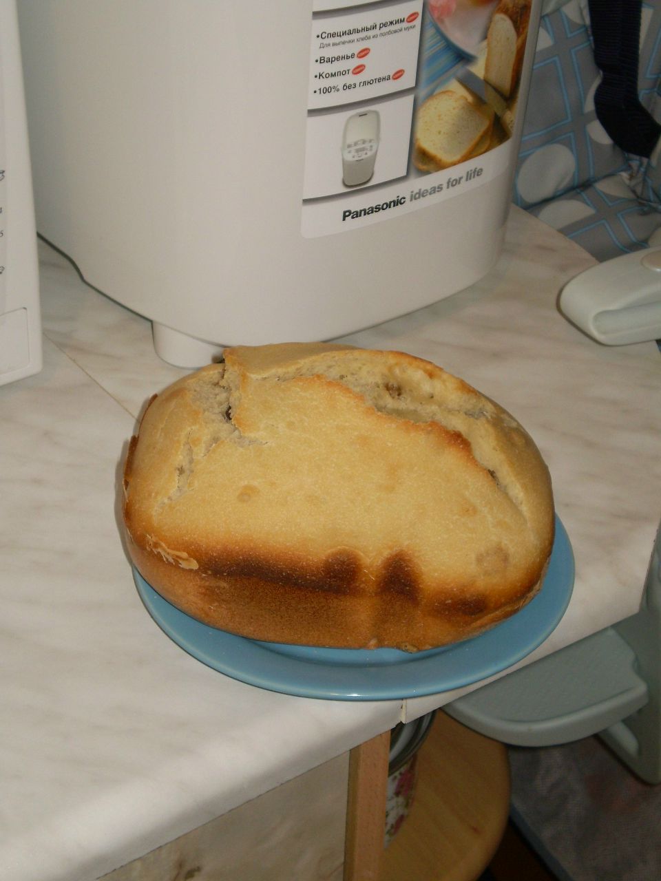 Оля Достовалова jamaika | Минск