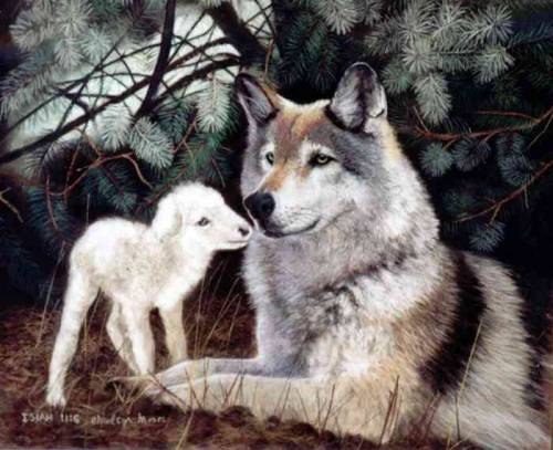 Марианна Волонина | 