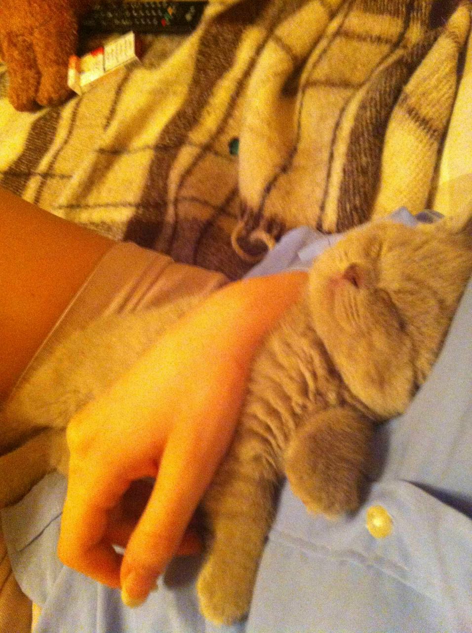 Наташа Зарецкая ♥♥♥ | Санкт-Петербург