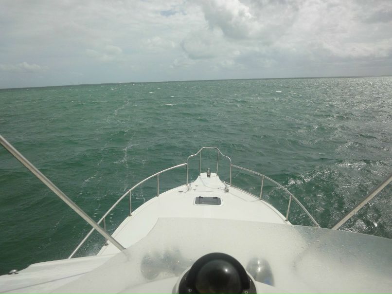 Рома Дашкевич | Мурманск