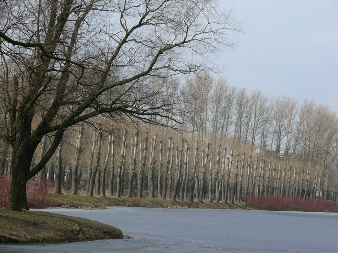 Вера Веланская | Санкт-Петербург