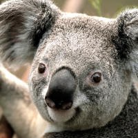 Ивана Иванова | 