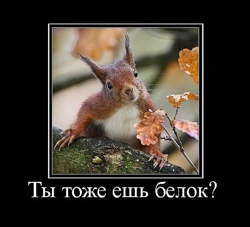 №137, Микола Бліщ, 41 год, Броды №137, Микола Бліщ, 41 год, Броды