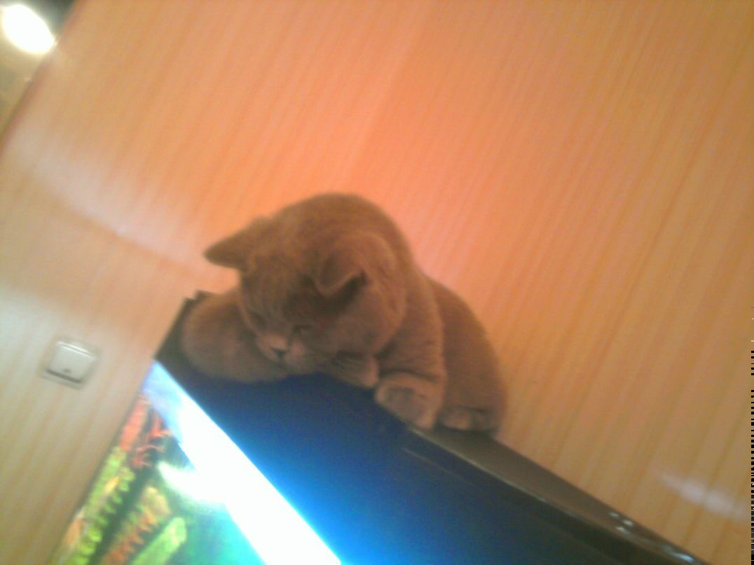 Иван Керженцев Ritchipik | Ковров