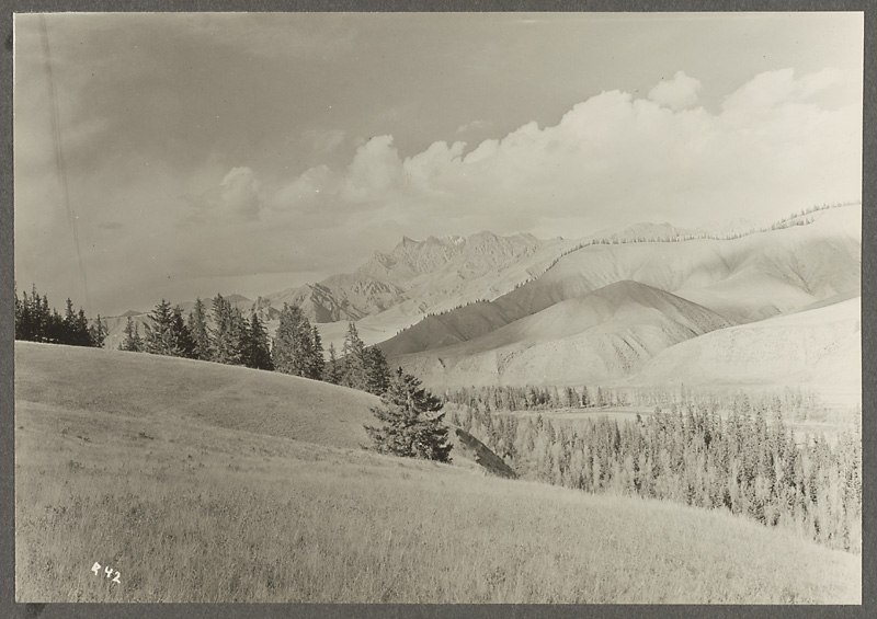 Анна Ярмош | Москва