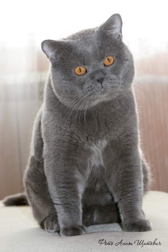 Иван Покоев pr0st | Томск