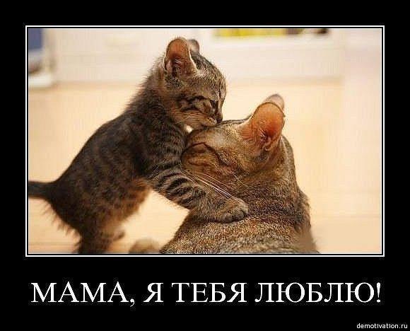 Анастасия Ратникова | Москва