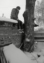 Фотография Сайфудинов Сергей