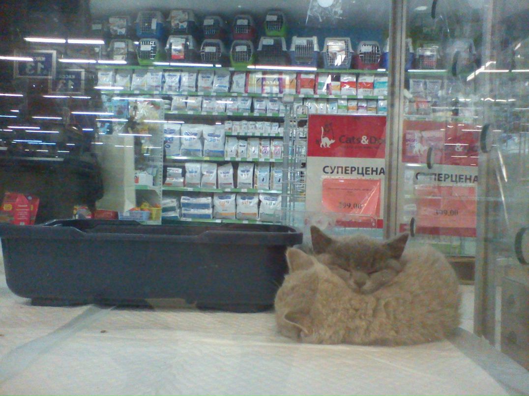 Иван Мартынюк Владимирович | Мегион