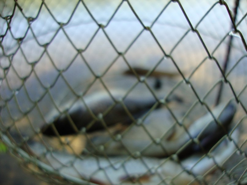 Александр Макарчук | Мелитополь