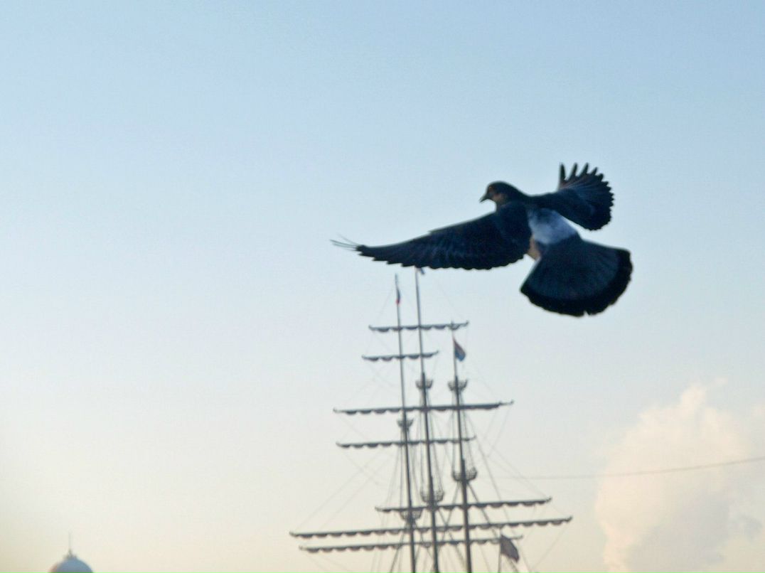 Наташа Ткаченко Звездочка | Крымск