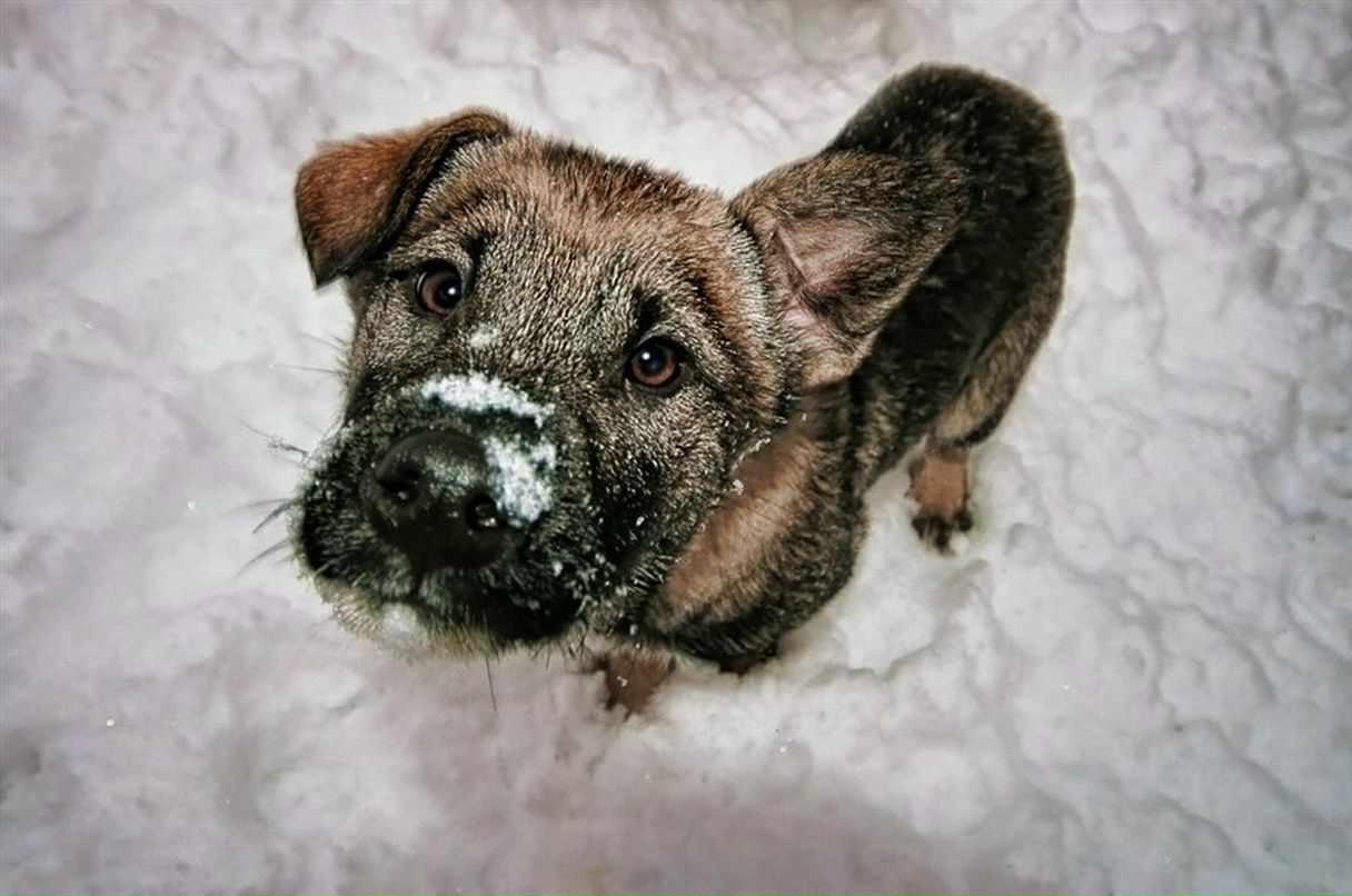 Виктория Павельева | Геленджик