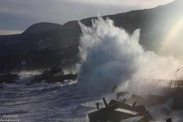 Алёна Кусмарцева Григорьевна | 
