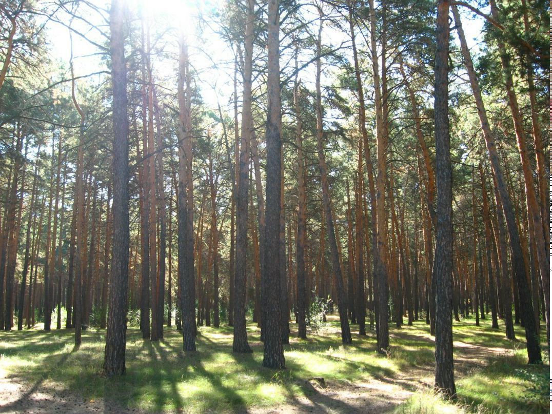 Марина Лукоянова | Ижевск