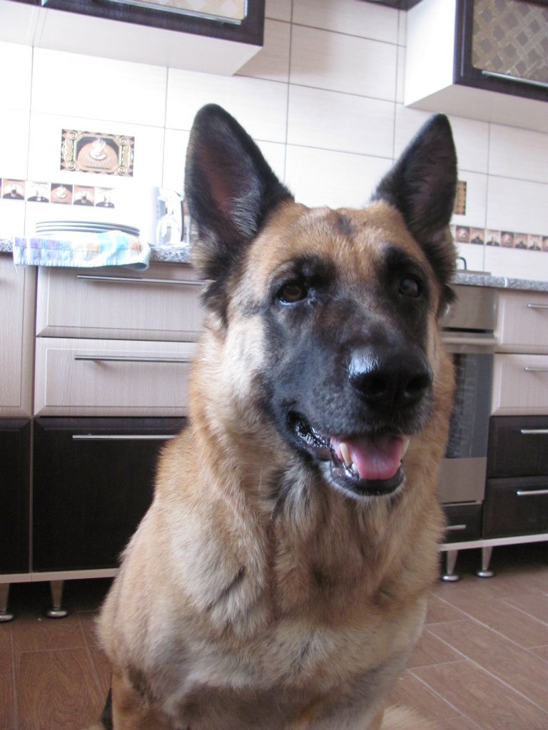 Віктор Герасименко | Белая Церковь