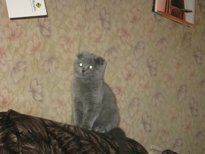 Алёна Шилова | Москва