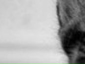 Анна Котова МаЙк ВоЗоВсКи | Зеленодольск