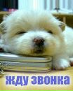 Фотография Анна Панина