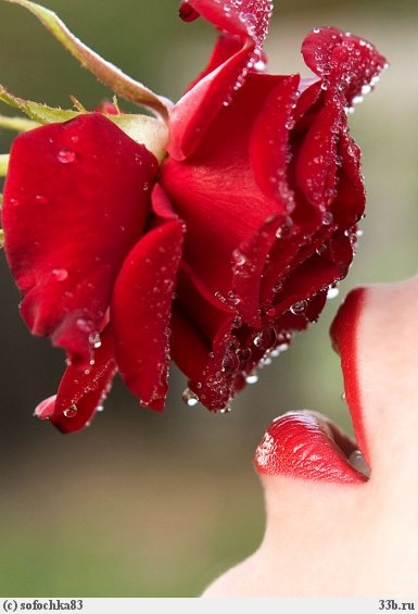 №14, Наталья Фролова №14, Наталья Фролова