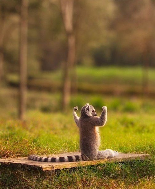 Макс Горай | Харьков