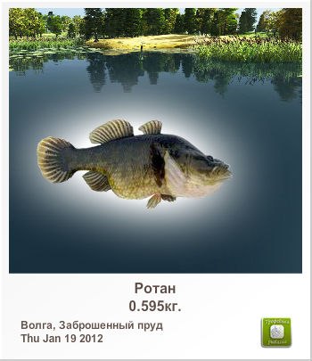 Иван Желизко | Тернополь