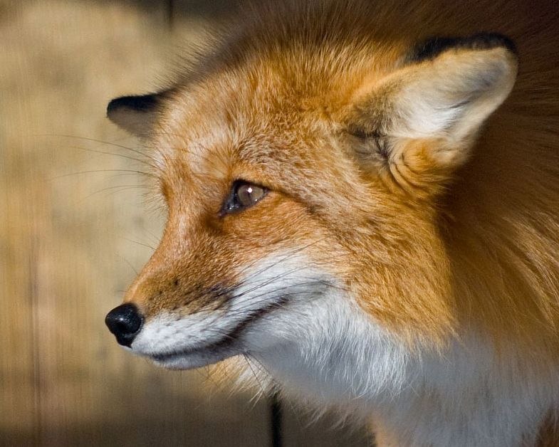 Мария Жигурина | Рязань