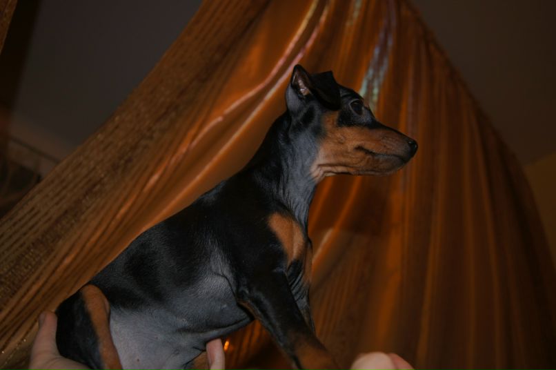 Евгений Новиков | Подольск