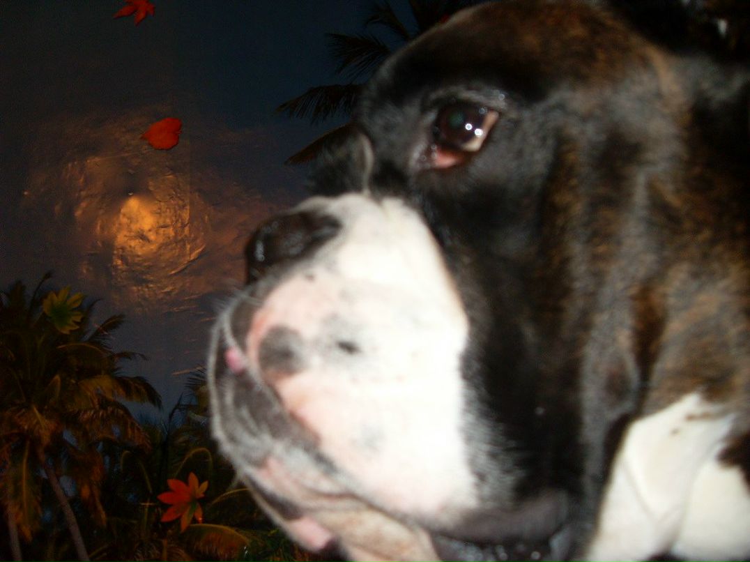 Яна Борисенко | Санкт-Петербург