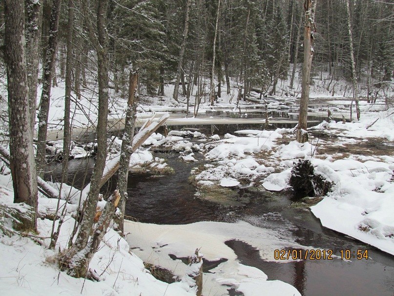 Ольга Маркелова | Санкт-Петербург